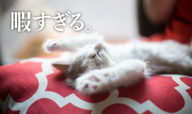 新型コロナ 臨時休校 暇すぎる お家で一人でもできる暇つぶしまとめ 略してとりてみ
