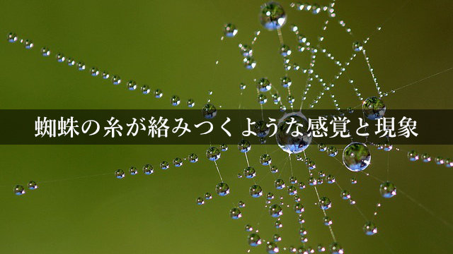 蜘蛛の糸が絡みつくような感覚と現象についての3つの考察